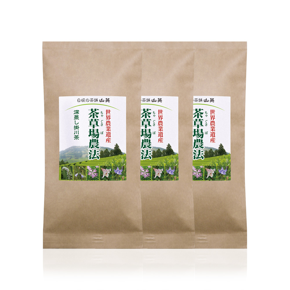 茶草場農法・深蒸し掛川茶 100g × 3セット