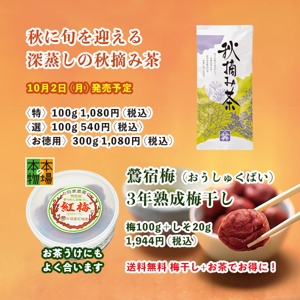 新茶のご案内