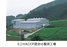 製茶工場
