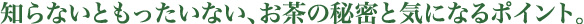 知らないともったいない、お茶の秘密と気になるポイント。